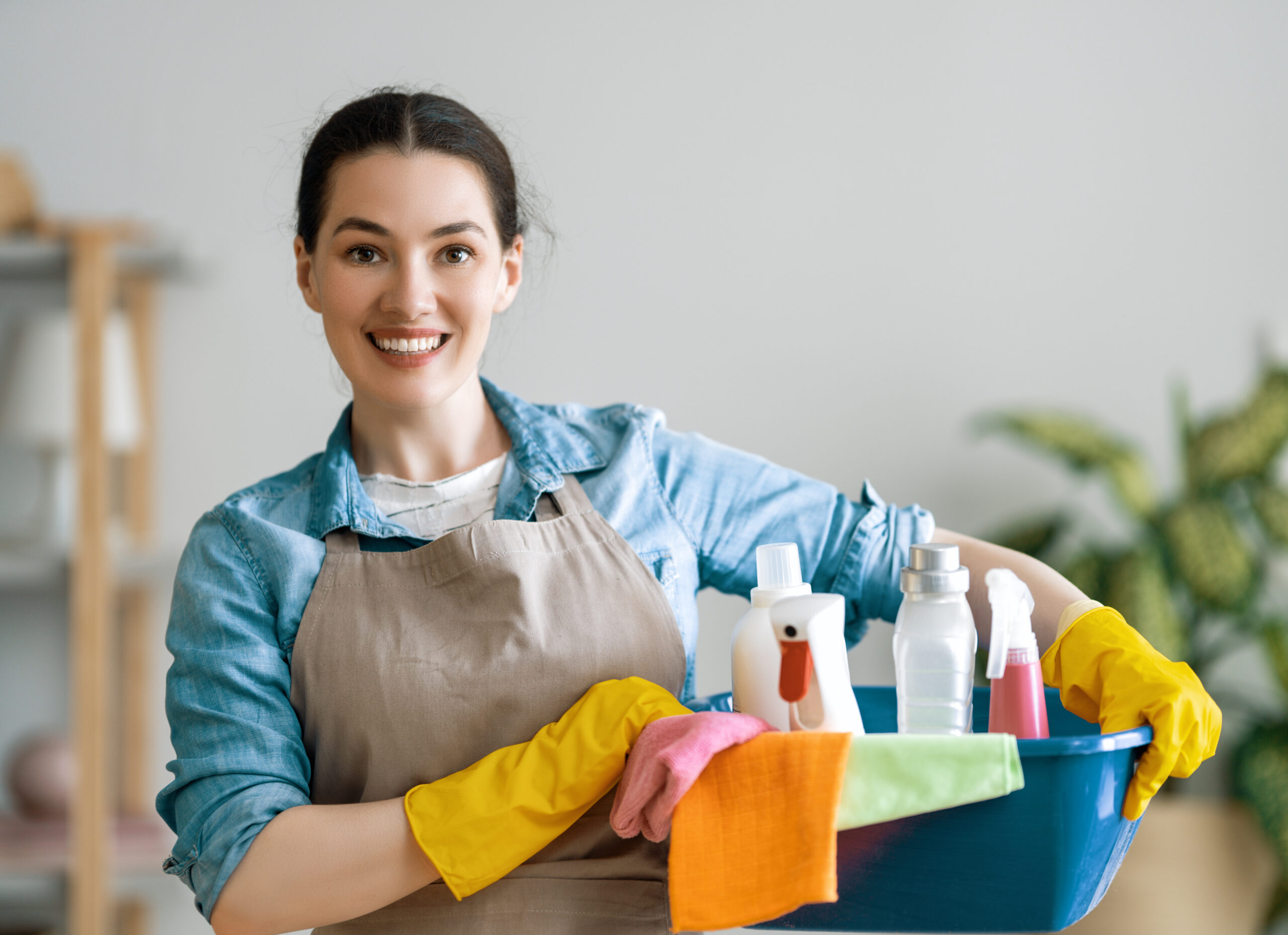 Services services